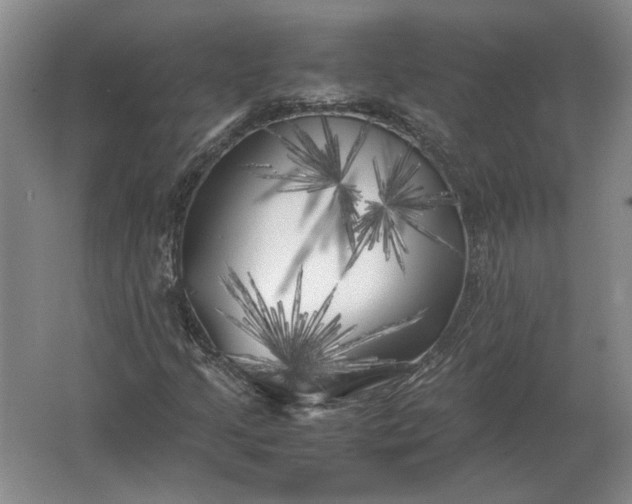 X0000062921205200601271756