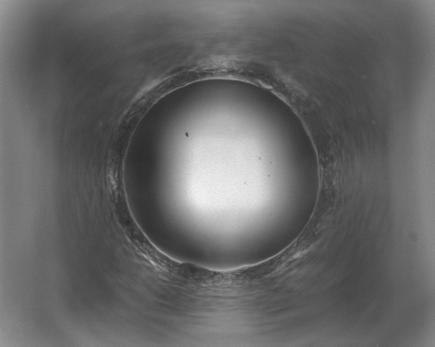 X0000062921206200601271756