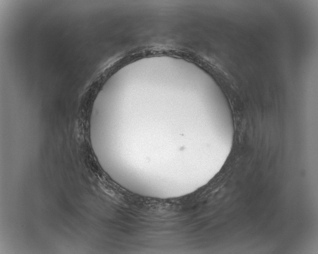 X0000062921207200601271756