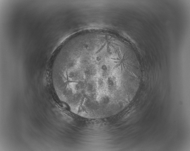 X0000062921208200601271756