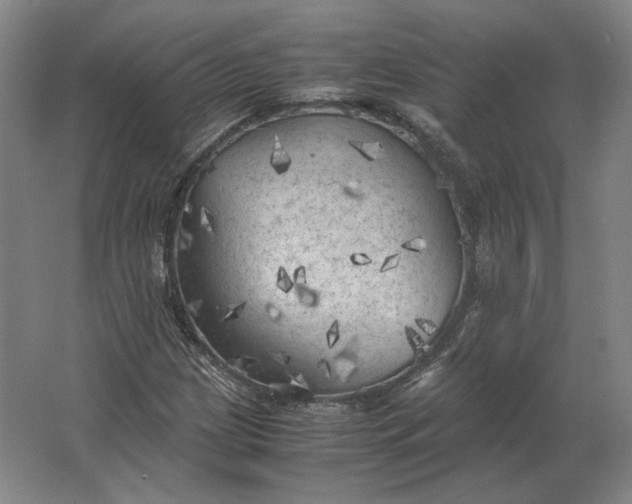 X0000062921209200601271756