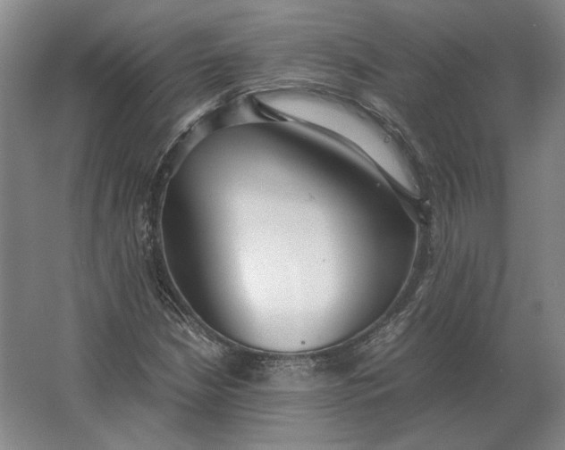 X0000062921210200601271756