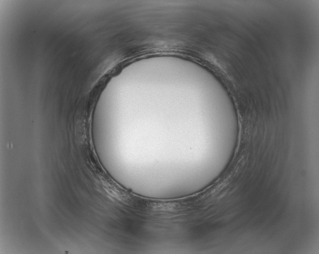 X0000062921211200601271756