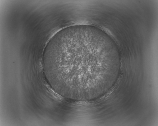 X0000062921212200601271756