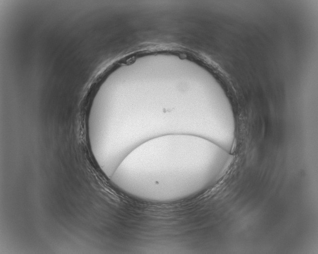 X0000062921215200601271756