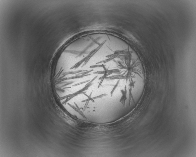 X0000062921216200601271756