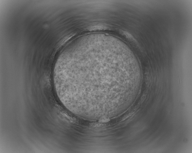 X0000062921217200601271756