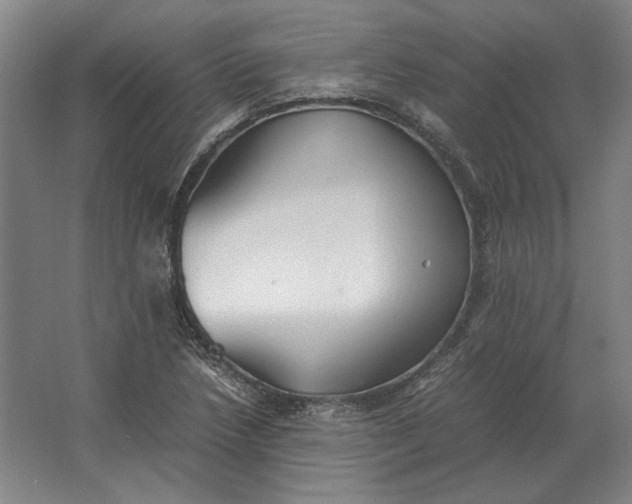 X0000062921218200601271756