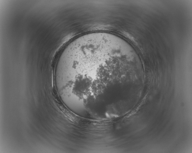 X0000062921219200601271757