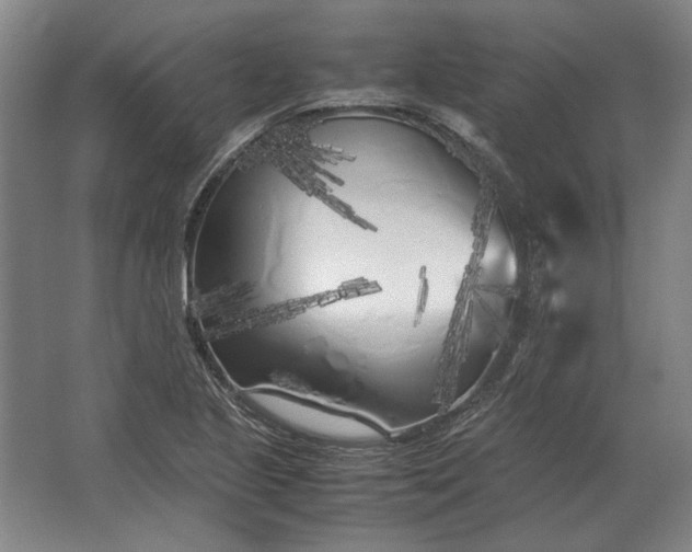 X0000062921221200601271757