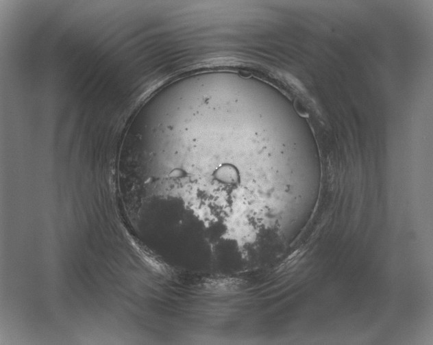 X0000062921225200601271757