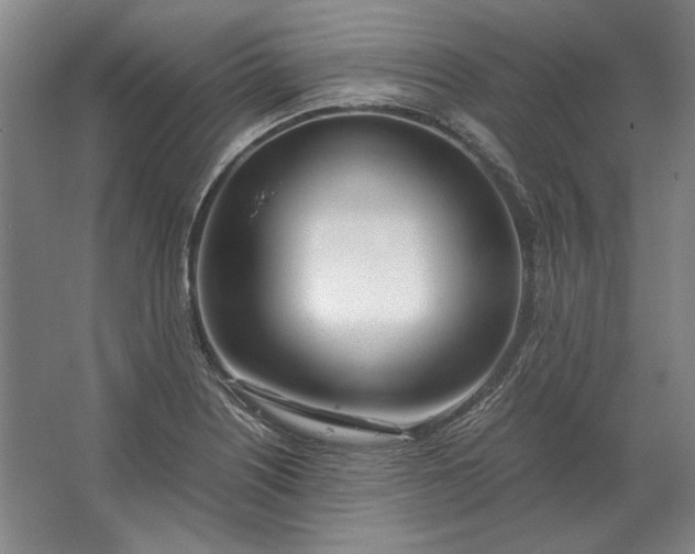 X0000062921226200601271757