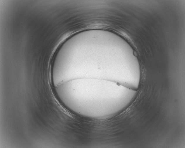 X0000062921227200601271757