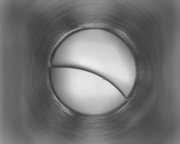 X0000062921228200601271757