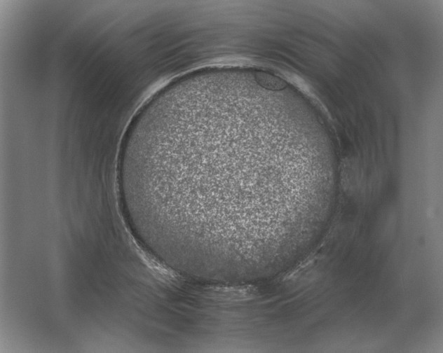 X0000062921229200601271757