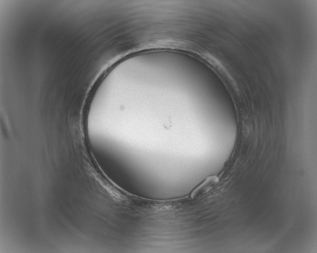 X0000062921230200601271757