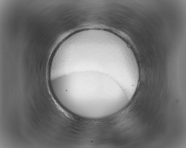 X0000062921231200601271757