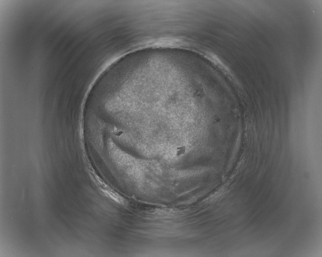 X0000062921232200601271757