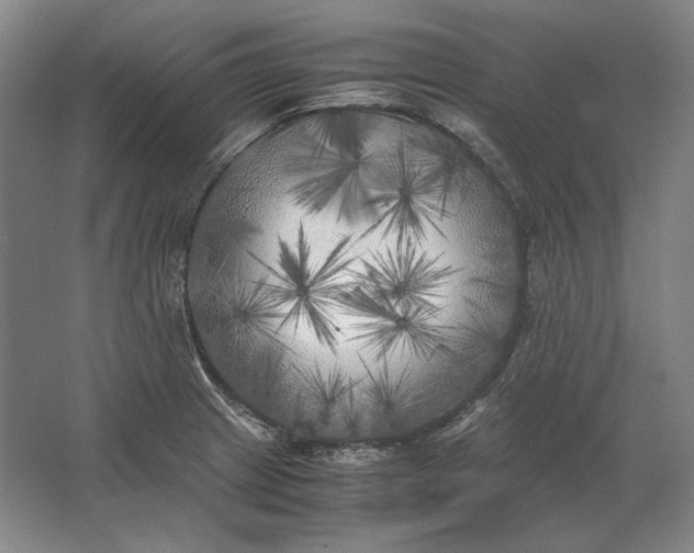 X0000062921233200601271757