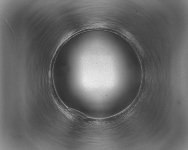 X0000062921234200601271757