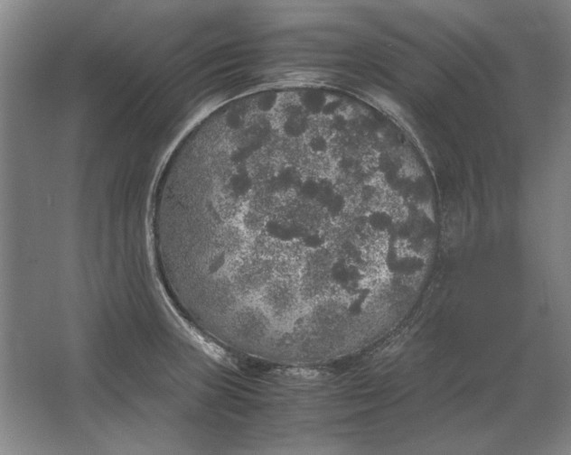 X0000062921235200601271757