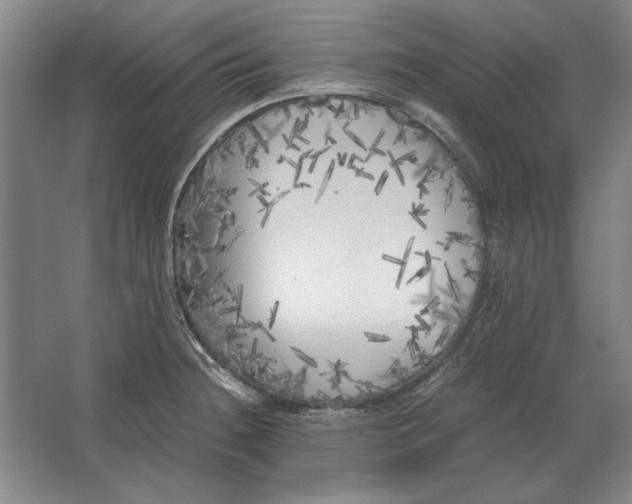 X0000062921236200601271757