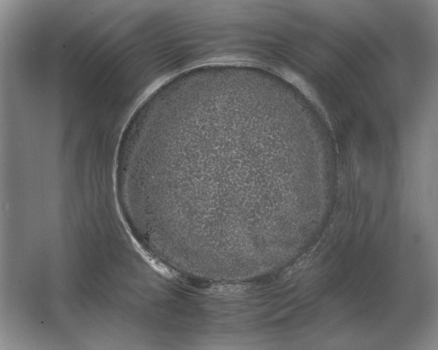 X0000062921237200601271757