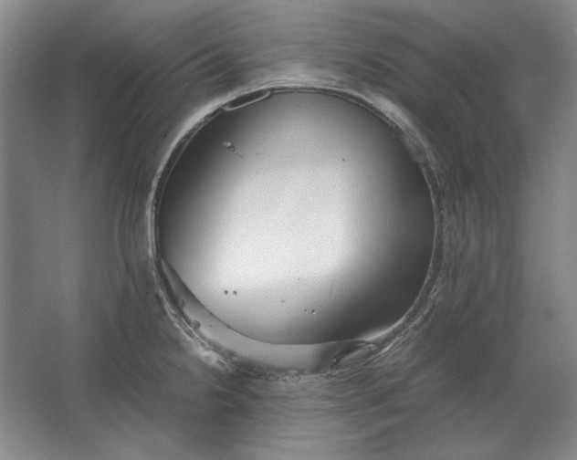 X0000062921238200601271757