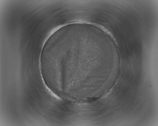 X0000062921239200601271757