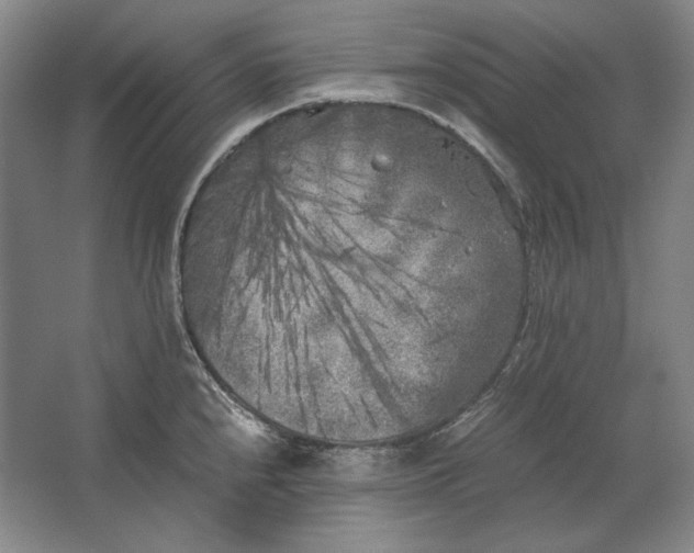 X0000062921240200601271757