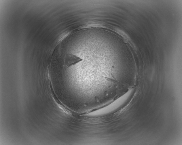 X0000062921241200601271757