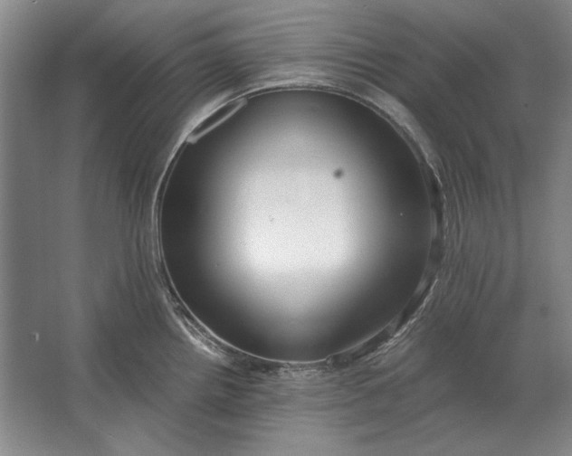 X0000062921242200601271757