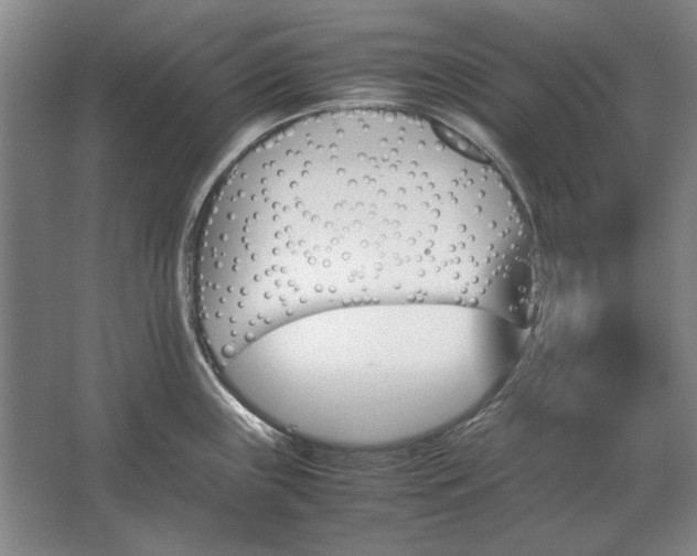 X0000062921243200601271757