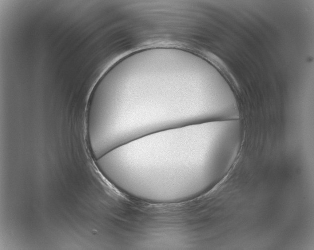 X0000062921244200601271757