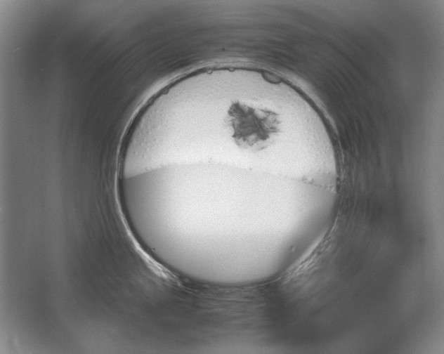 X0000062921245200601271757