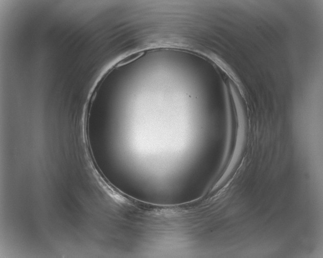 X0000062921246200601271757