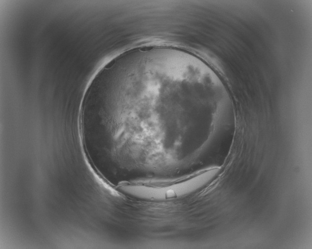 X0000062921247200601271757