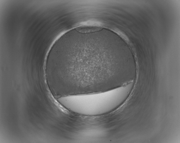 X0000062921248200601271757