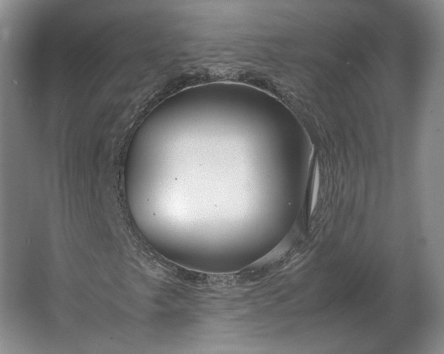 X0000062921249200601271756