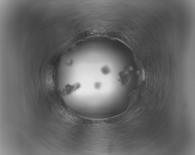 X0000062921250200601271756