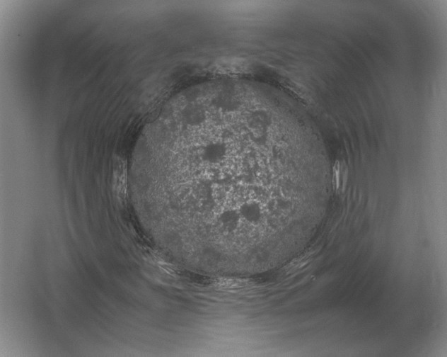 X0000062921251200601271756