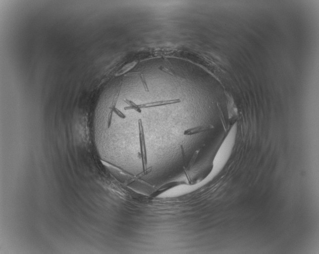 X0000062921252200601271756