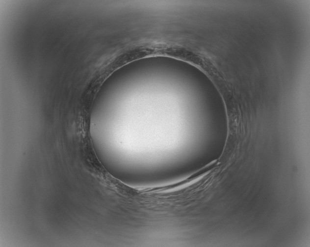 X0000062921253200601271756