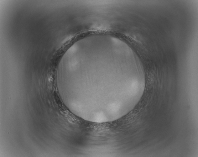 X0000062921254200601271756