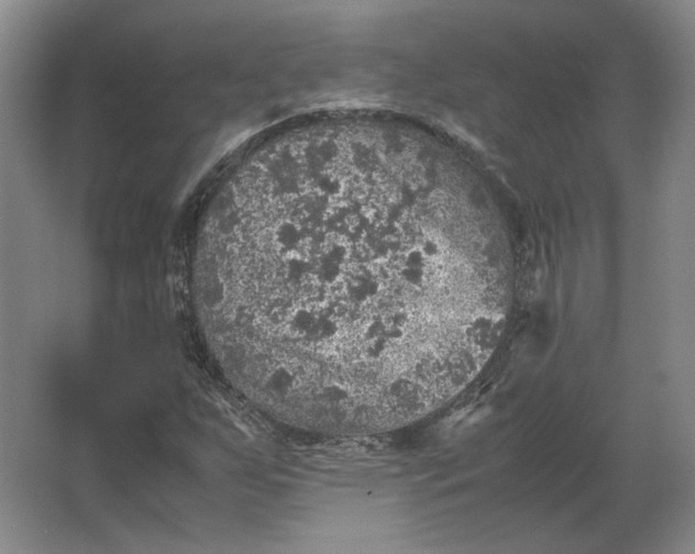 X0000062921255200601271756