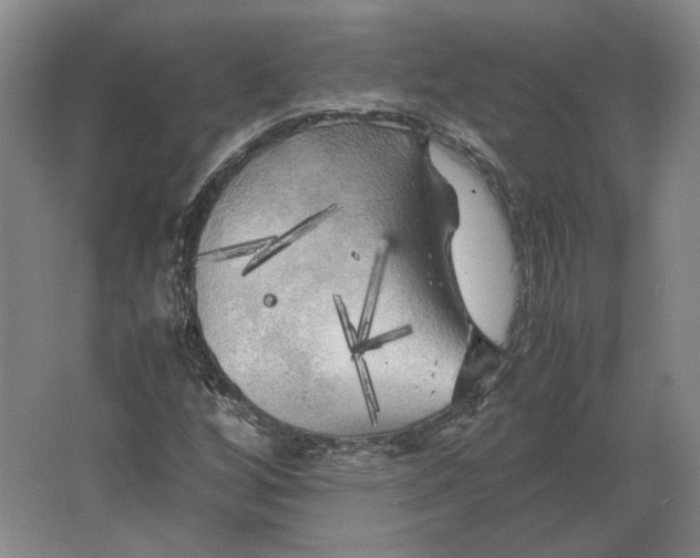 X0000062921256200601271756