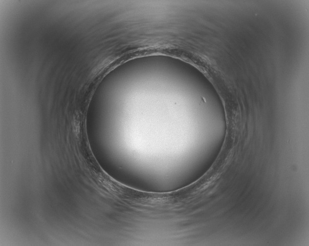 X0000062921257200601271756