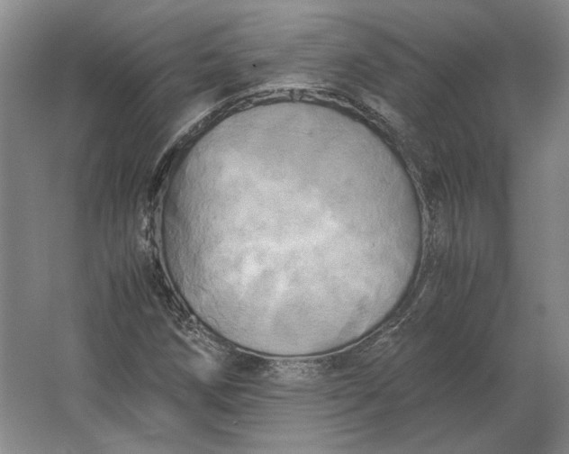 X0000062921258200601271756