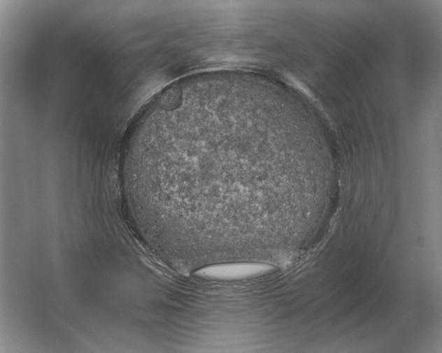 X0000062921259200601271756