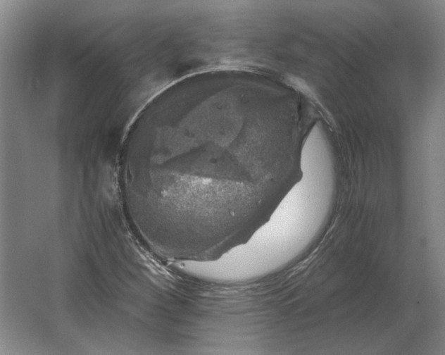 X0000062921260200601271756